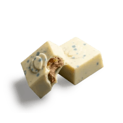 COCO The Dutch - Coco & Sebas