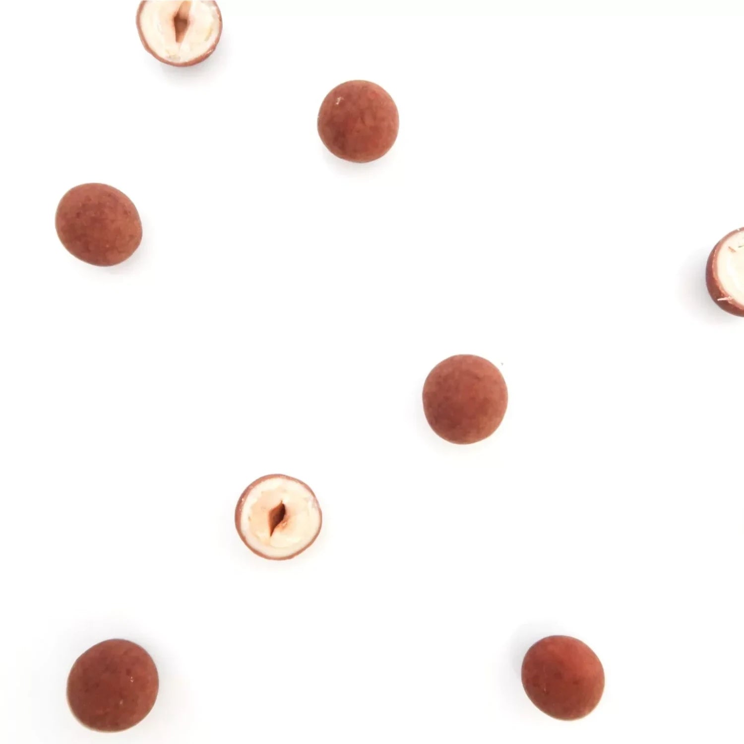Coated hazelnuts kaneel - hazelnootdragees - Coco & Sebas