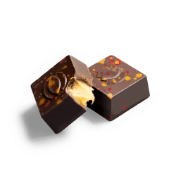 COCO Passie - Coco & Sebas