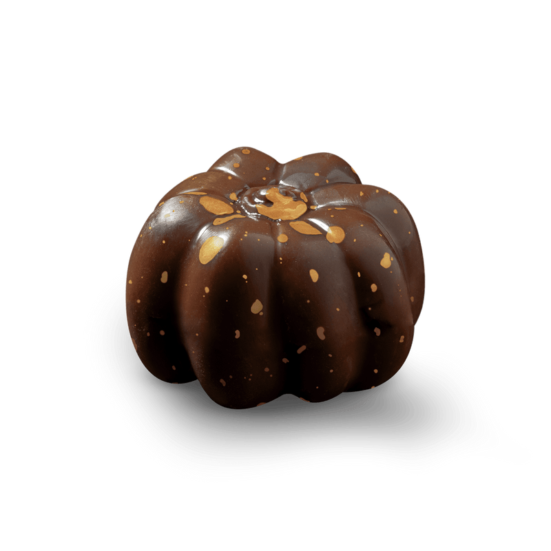 Pompoen Pumkin Spice - Coco & Sebas