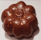 Pompoen Pumpkin Spice - Coco & Sebas