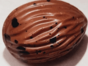 Walnoot Melk Praliné Nougat - Coco & Sebas