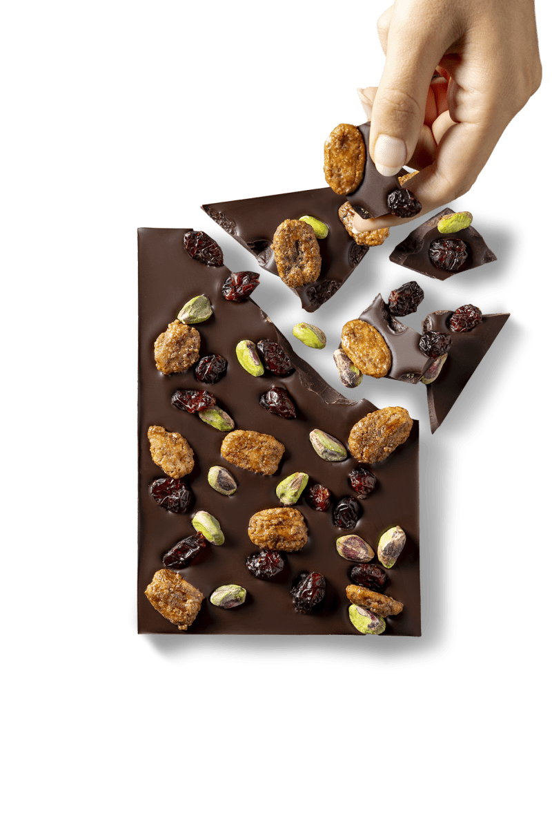 Vegan Chocolade - Coco & Sebas