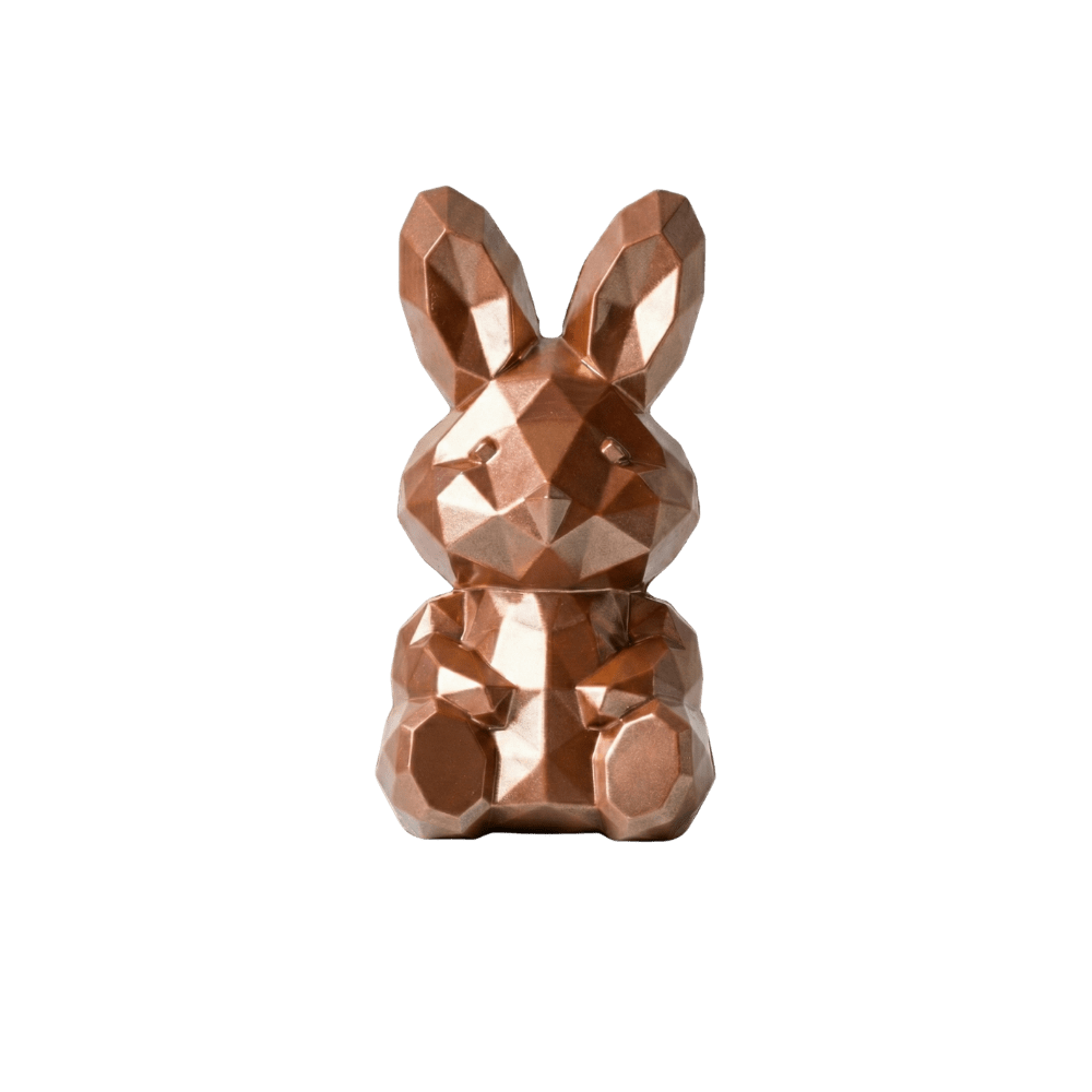 Chocolade Paashaas Brons | Coco & Sebas