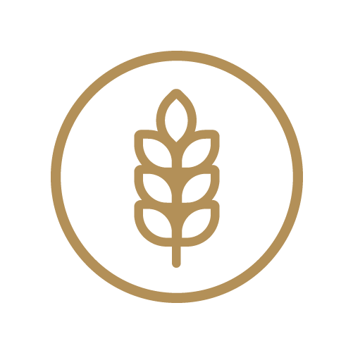 Bevat gluten