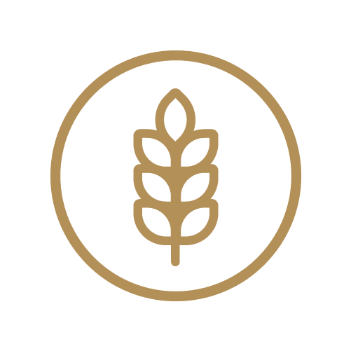 Bevat gluten